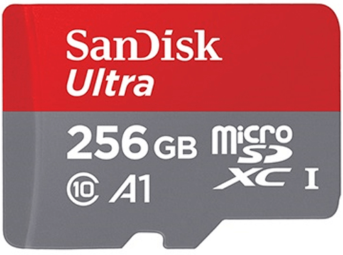 microSd-256-1