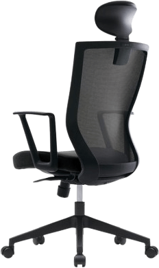 Sidiz-T50-Light-Basic-Desk-Chair-Back-Lumber-Support